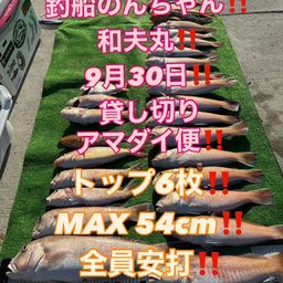 シロアマダイ