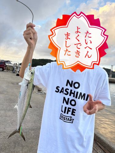 名護屋漁港