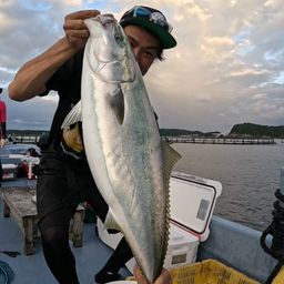 ブリ