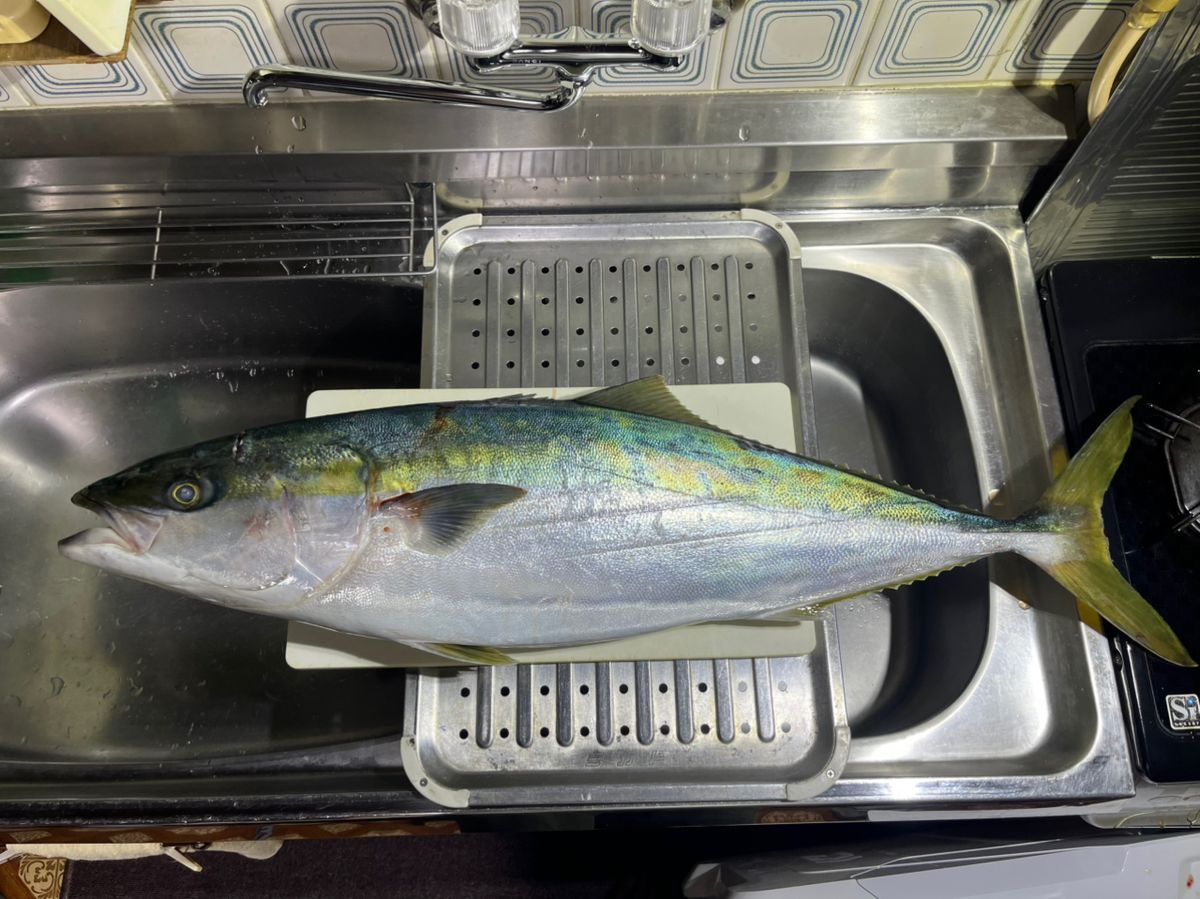 （YouTube）堺釣人🐟の爆釣chさんの釣果 3枚目の画像