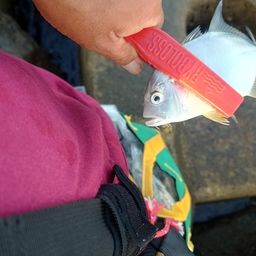 メッキ