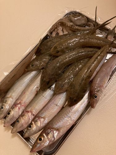 三津湾