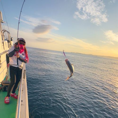 ハマチの釣果