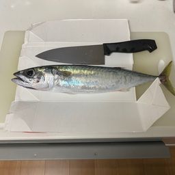 サバ