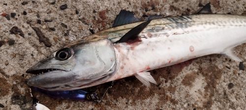薄香湾