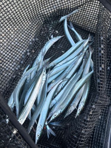 浜厚真漁港