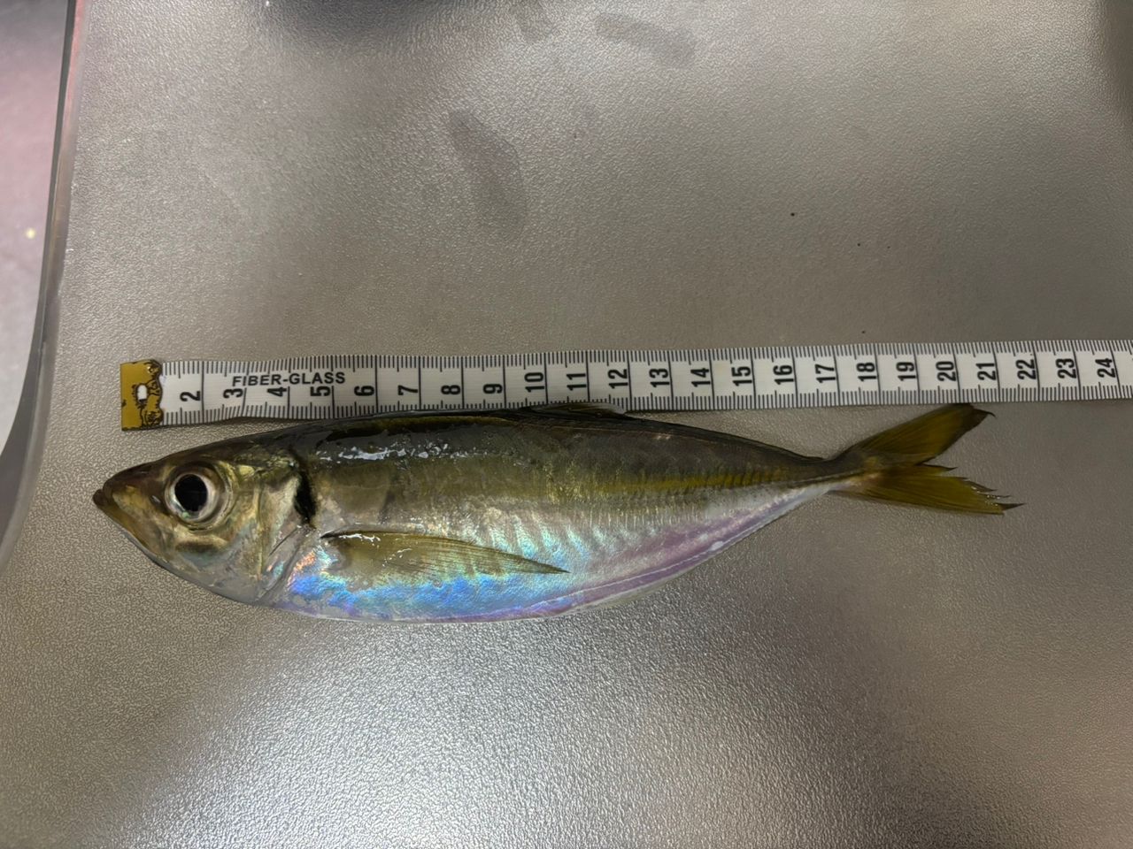 AbuGarcia ソルティーステージ プロトタイプ アジング XAJS