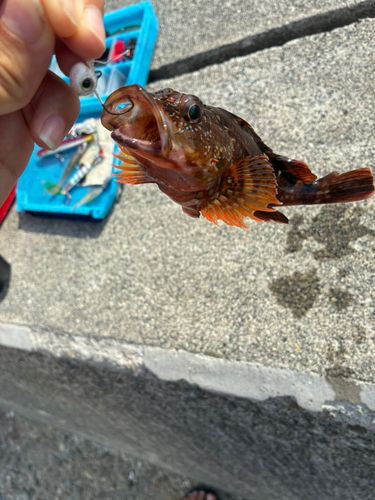 大阪湾