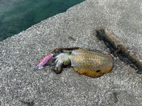 しまなみ海道