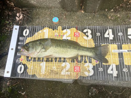 師田原ダム