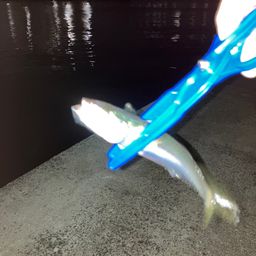 サバ