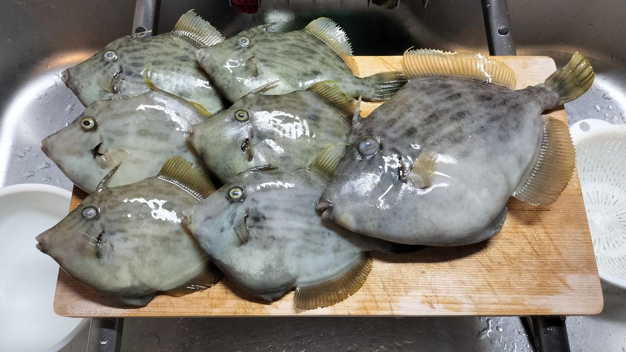 SHIMANO 21ステファーノ XR MH175-2の最安値・インプレ・釣果 | 本音の