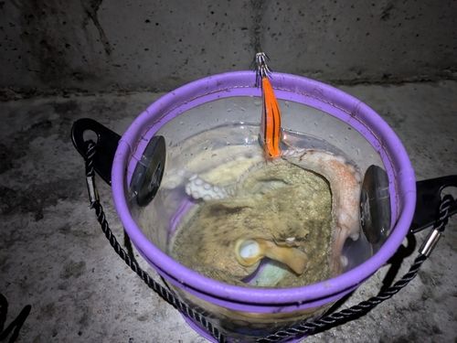 水産試験場跡