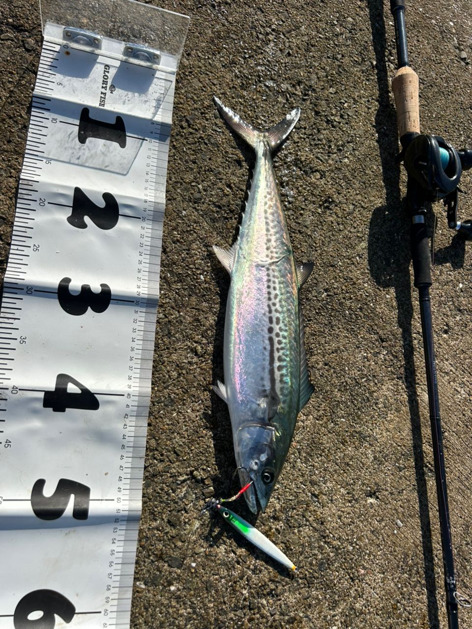 DAIWA 23ファントム リベラリスト 933MH+RSBの最安値・インプレ・釣果