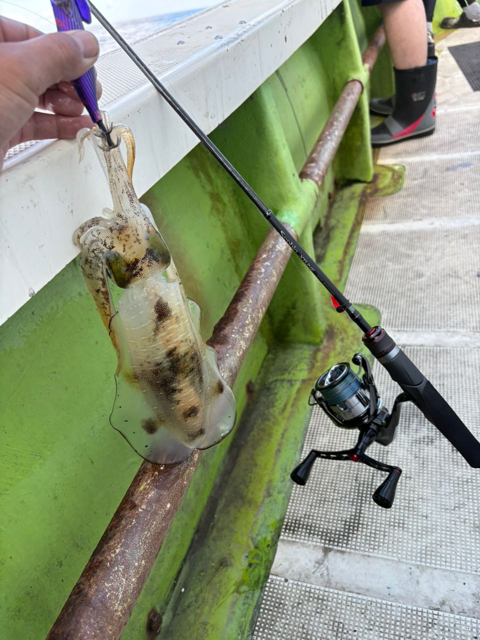 まにりさんの釣果 1枚目の画像