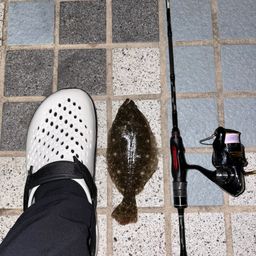 ソゲ