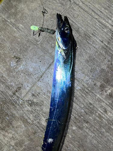 海辺つり公園