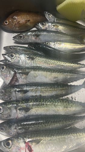 室蘭港