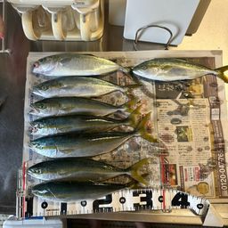 ツバイソ