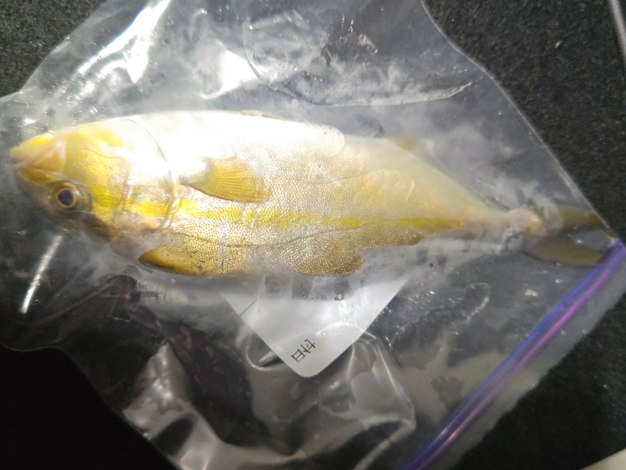アジ
