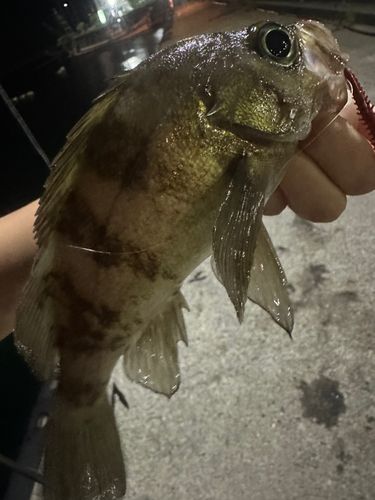 垂水漁港
