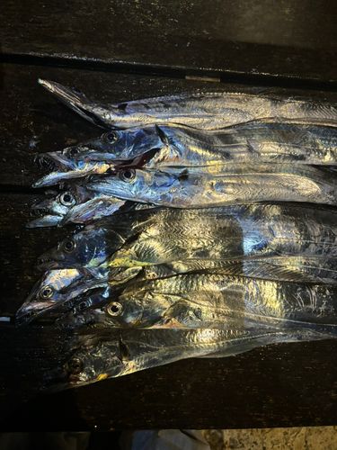 海辺つり公園