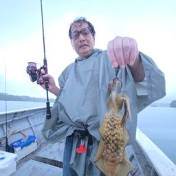 アオリイカ