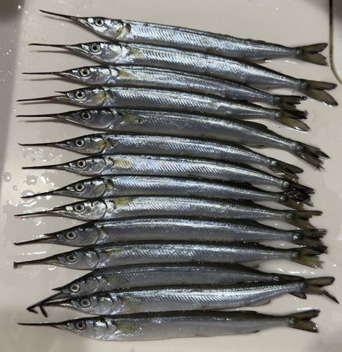 高洲海浜公園
