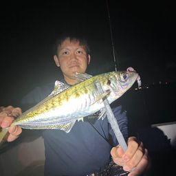 アジ