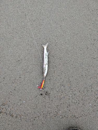 釜谷浜海水浴場