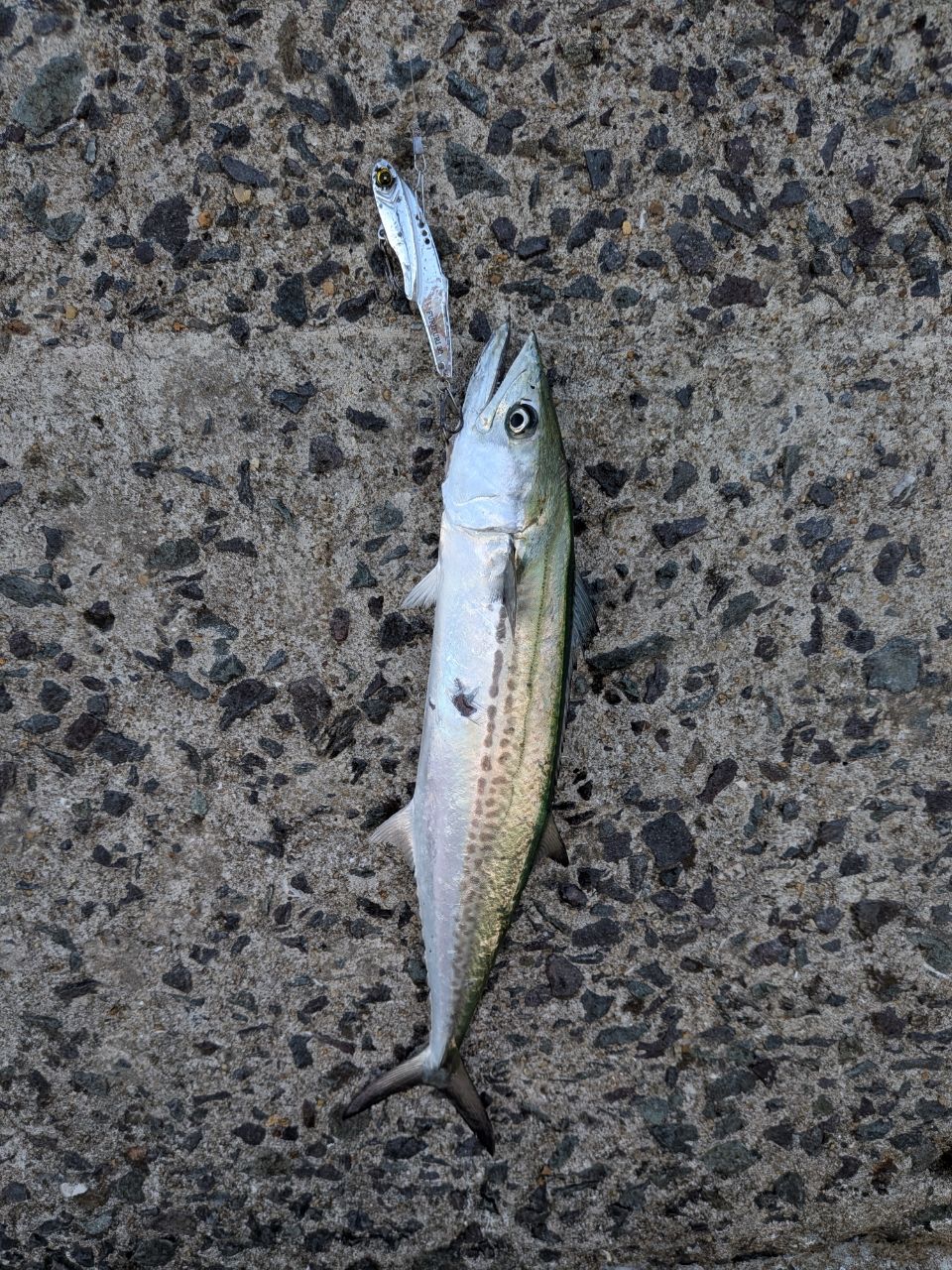 MajorCraft ファーストキャスト ショアジギング FCS-1002MHの最安値