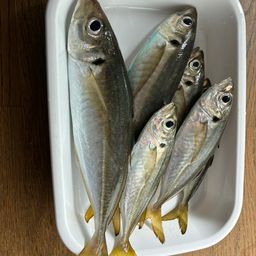 アジ