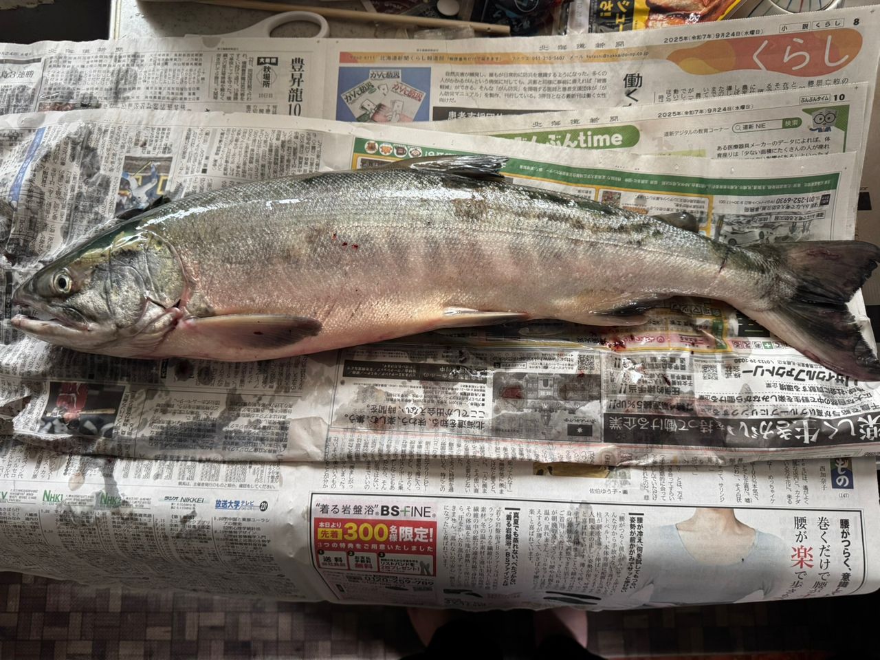 DAIWA 20シルバークリーク AK 130Hの最安値・インプレ・釣果