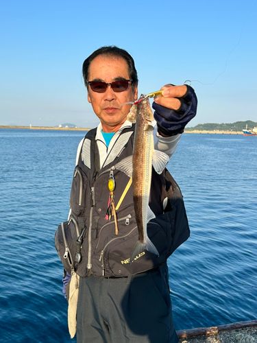 エソの釣果