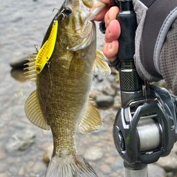 スモールマウスバス