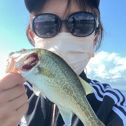ブラックバス