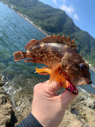 御所浦島