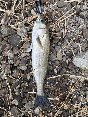 船越水道