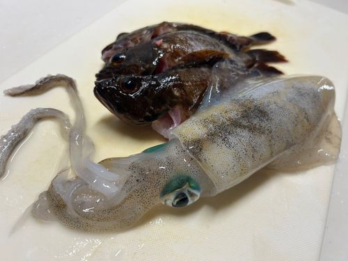 忠岡木材コンビナート