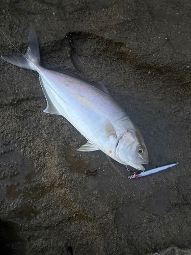 若狭湾