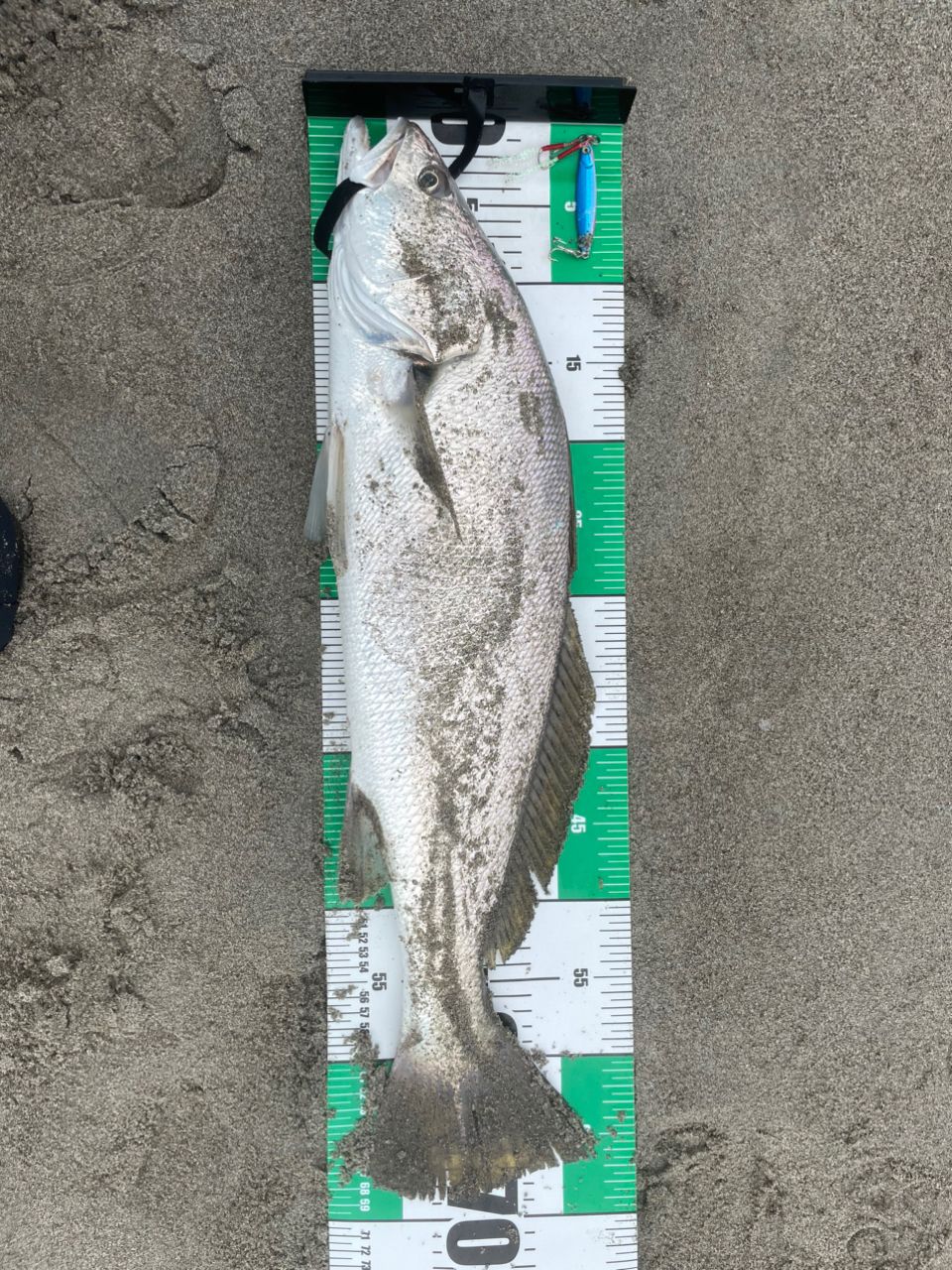 Fishman ブリスト VENDAVAL10.1Mの最安値・インプレ・釣果