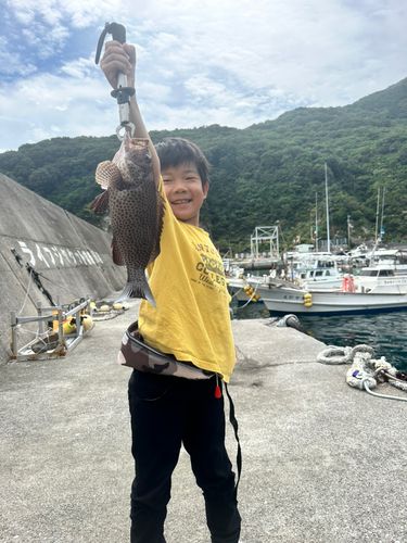 オオモンハタの釣果