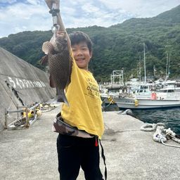 オオモンハタ