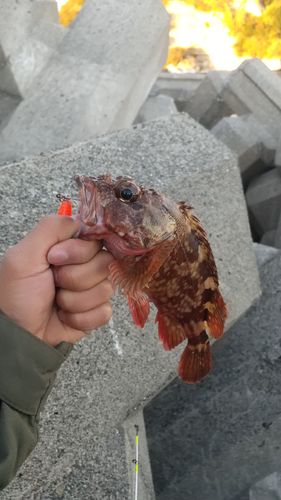 七里ヶ浜沖