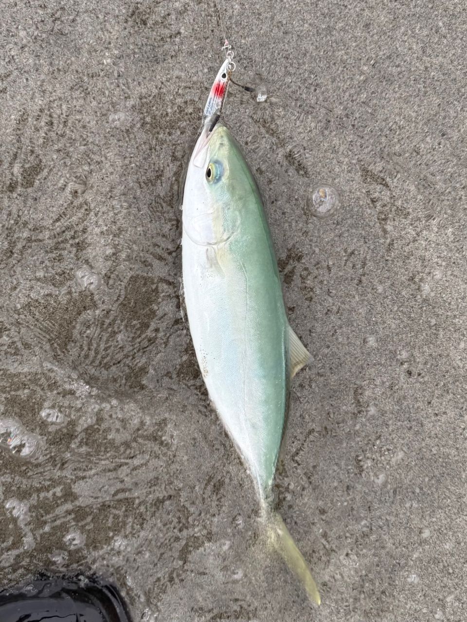 値下げしました。バリスティックヒラ107MH TZ NANO ロッド]ヤマガブランクス バリスティック・ヒラ Ballistick HIRA