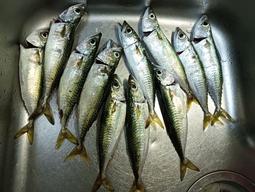 汐見埠頭