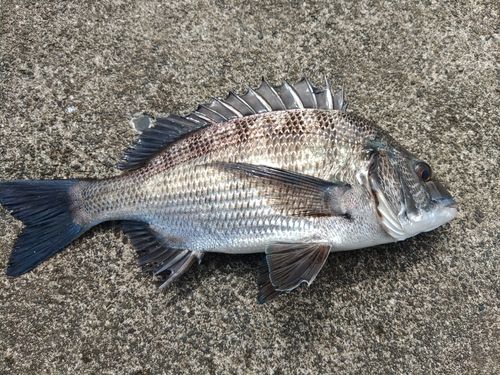 浜当目海岸