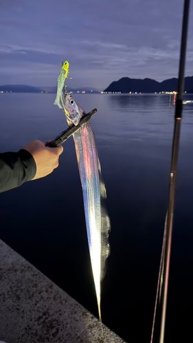 八代海