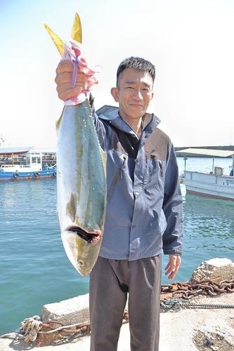 メジロの釣果