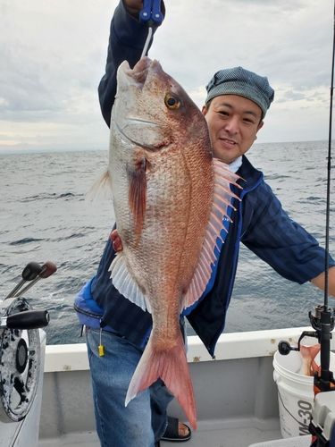 マダイの釣果